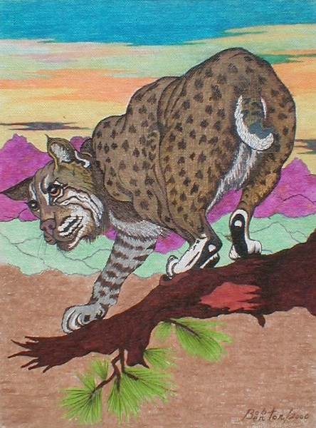 lynx on a limb
