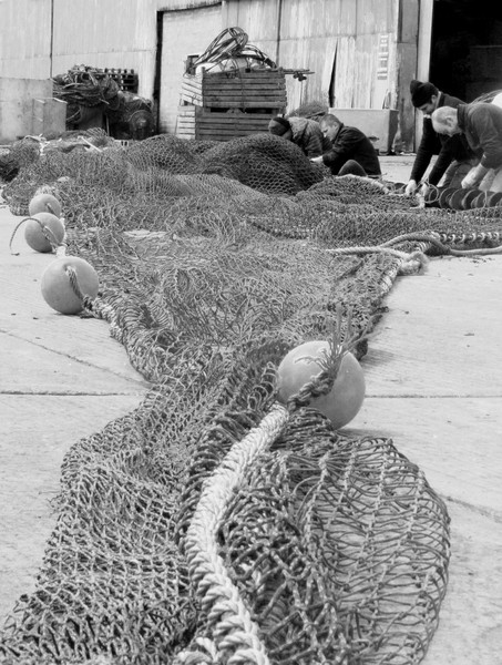 Fisherman's net