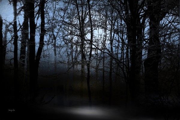 Dark Woods
