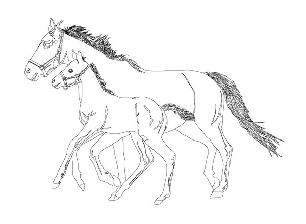 HORSES