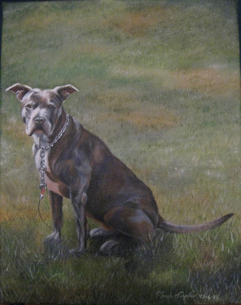 Pet Portrait #4