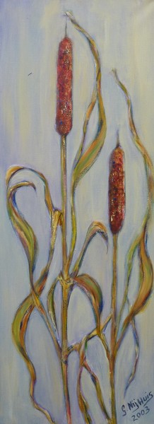 Reed-mace