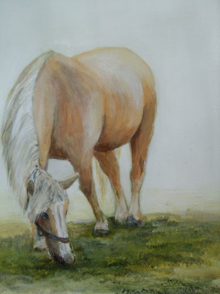 PONY