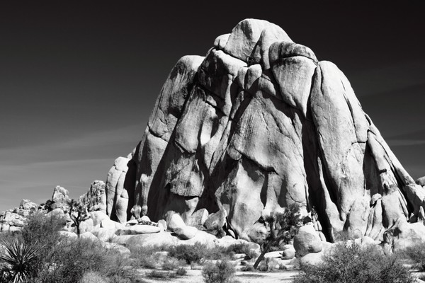 Joshua Tree Nat. Pk. Rock Climbers 6