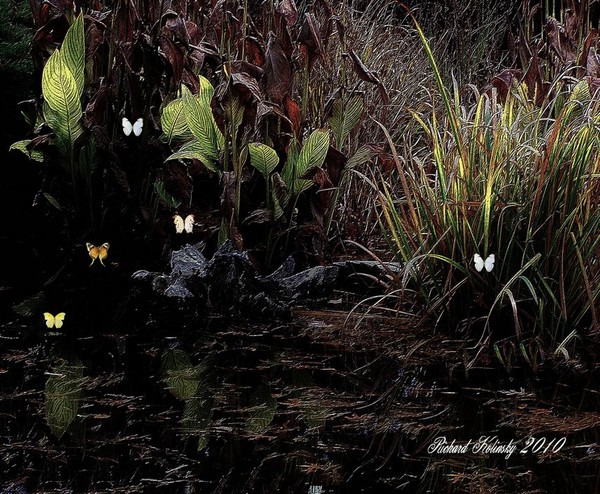 Swamp with butterflies