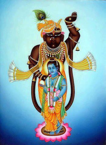 Shri Nathji (26)