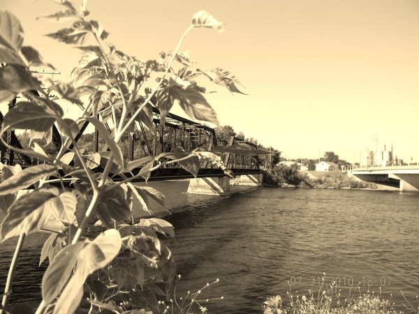 Cedar Falls - Cedar River