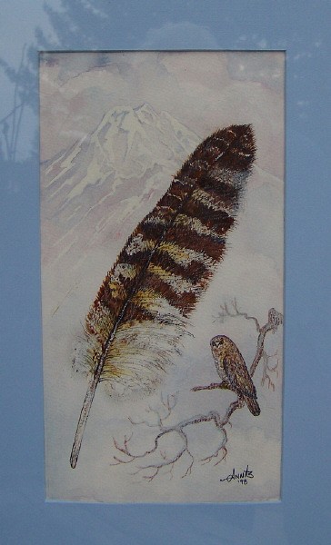 BARRED OWL & FEATHER