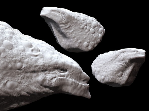 digital sculpting01