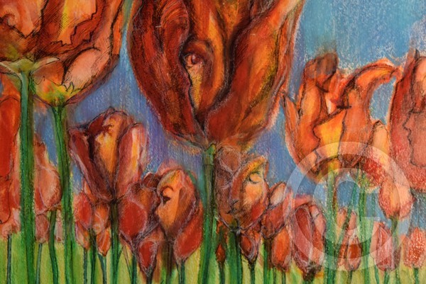 Field of Lovers