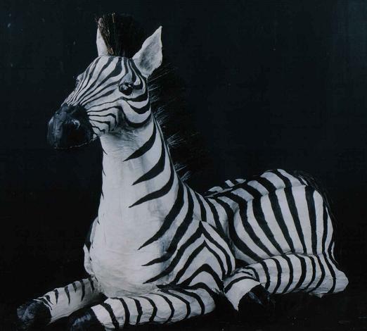 zebra