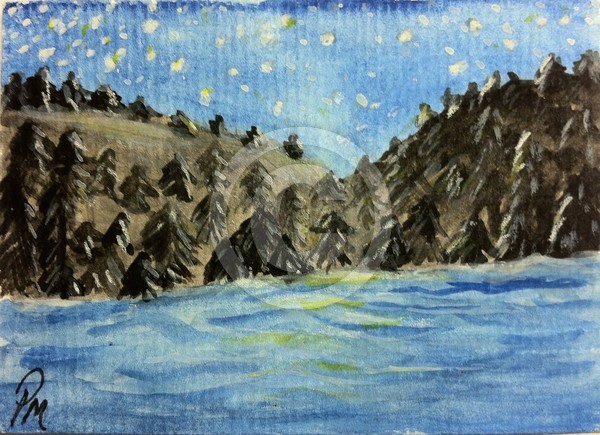 Shasta Lake Stars