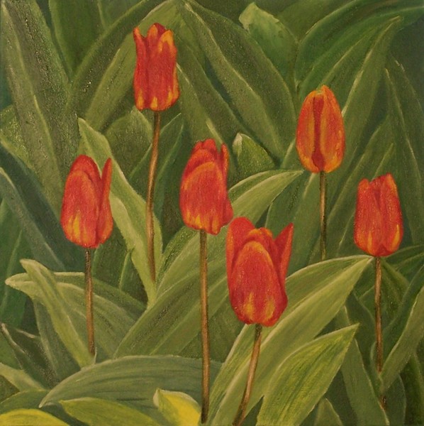 Tulips