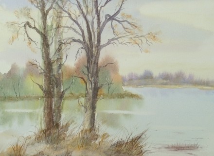 trees on the river banks 624