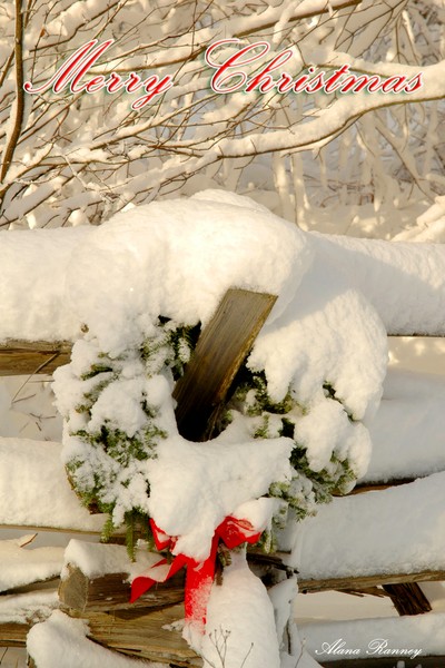Christmas Wreath