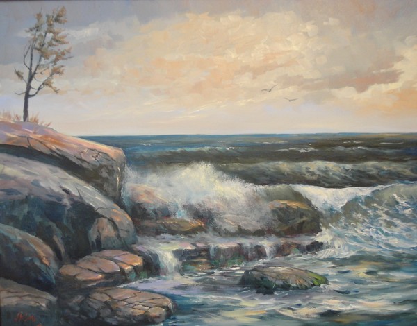Maine Coast Pine