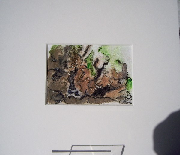 IMGP7338