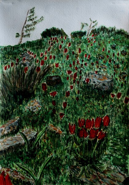 wild tulip.