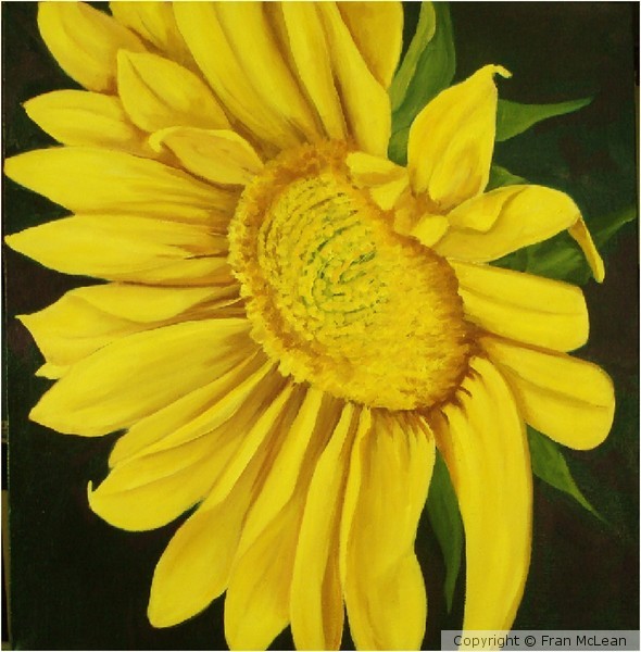 Mary's Sunflower