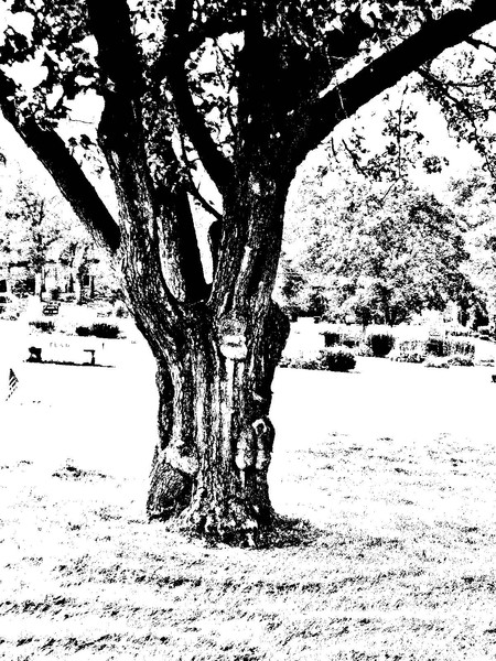 Cemetary Spirits-4