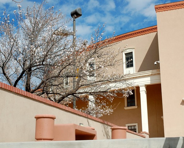 New Mexico 5