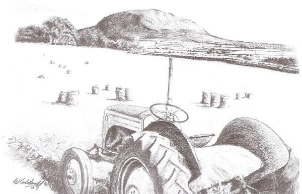 lrish Landscape