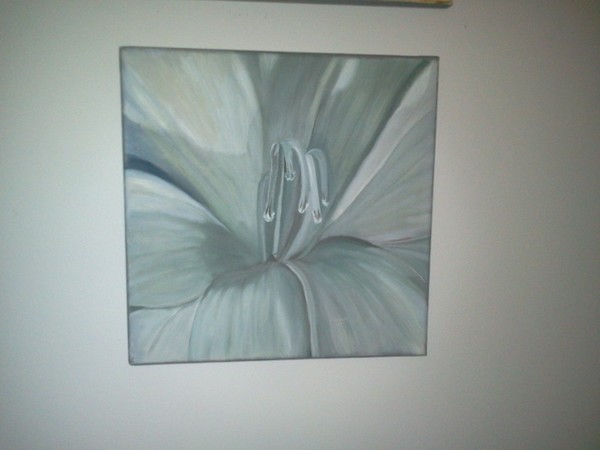 Lily study in Black & White