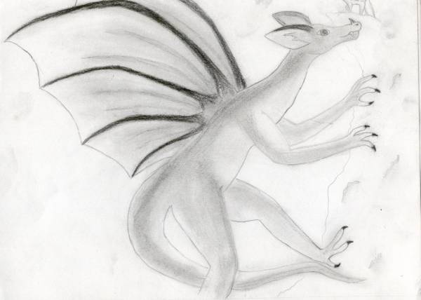 course dragon 