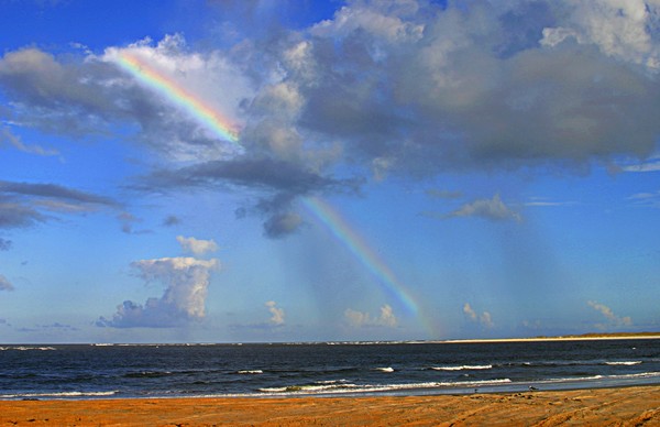 Ocean Rainbow, ne347