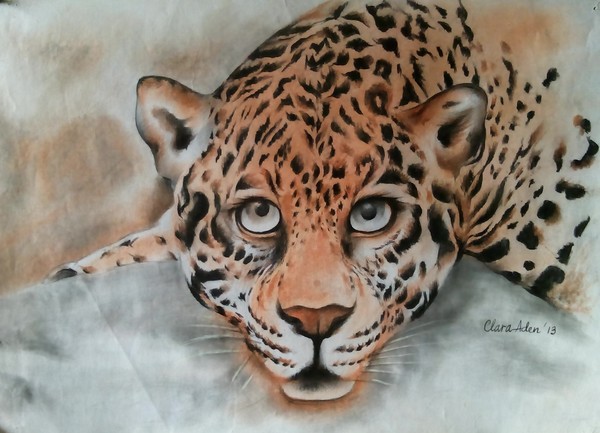 wildlife collection