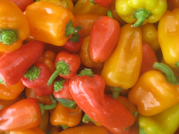pick a pepper, any pepper