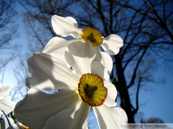 Spring 628