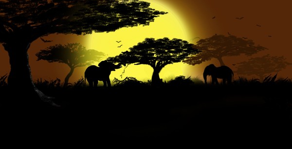 Spirit of Africa