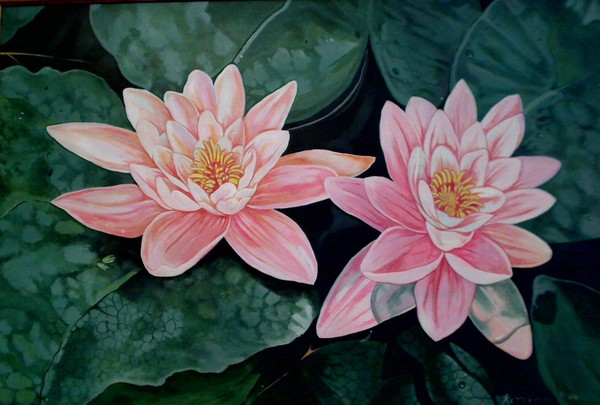 Water Lilies
