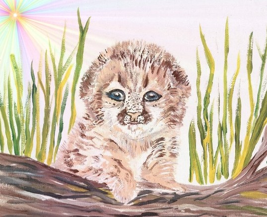 Baby Leopard hiding behind the tall grass