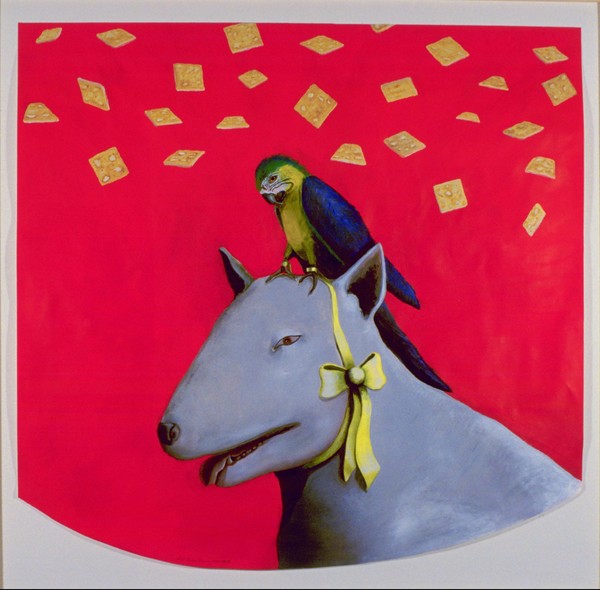 Dogeye's Love for Ms Macaw Brings Her Many Cracker