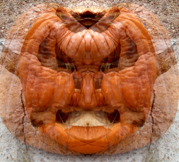 the pumkin 11 R