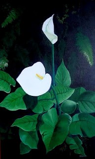 Calla Lily