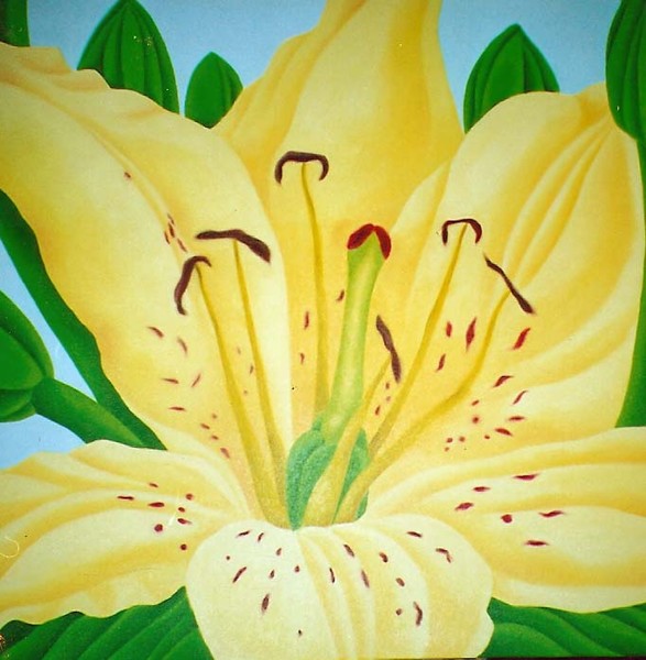 Lily