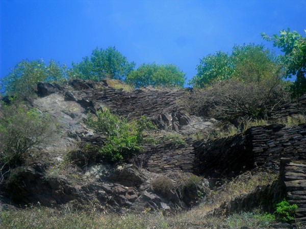Rheinsteig 06