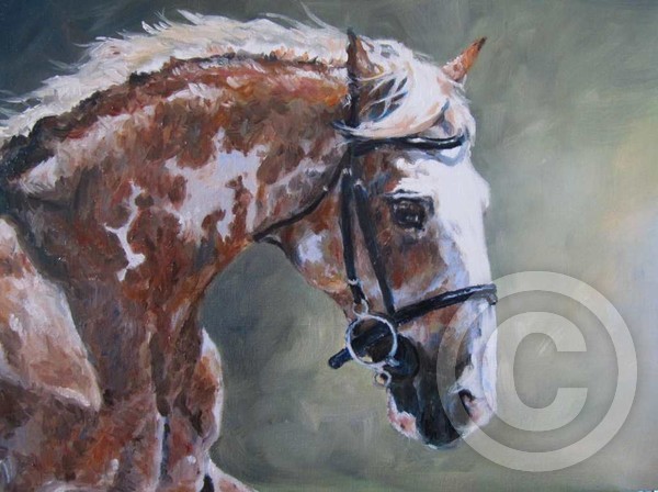 Rusty - horse portrait, oil