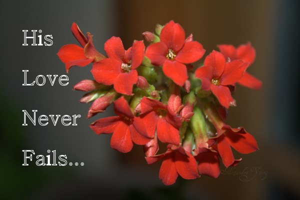 HisLove