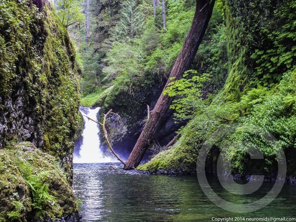 Punchbowl Falls