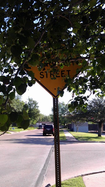 Obey All Road Signs