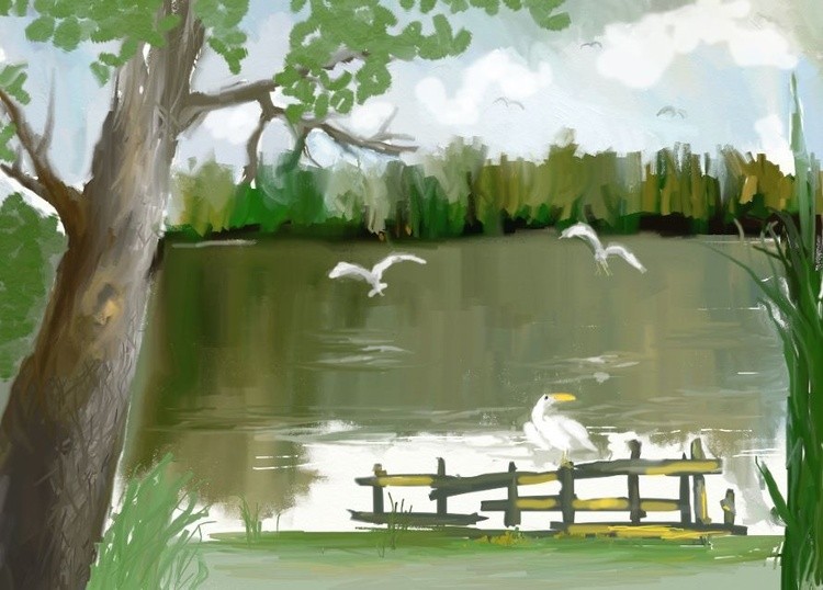 migratory birds