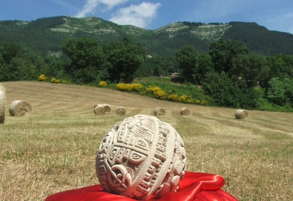 Riflessi di Grano