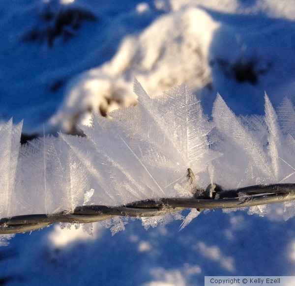 Feather frost