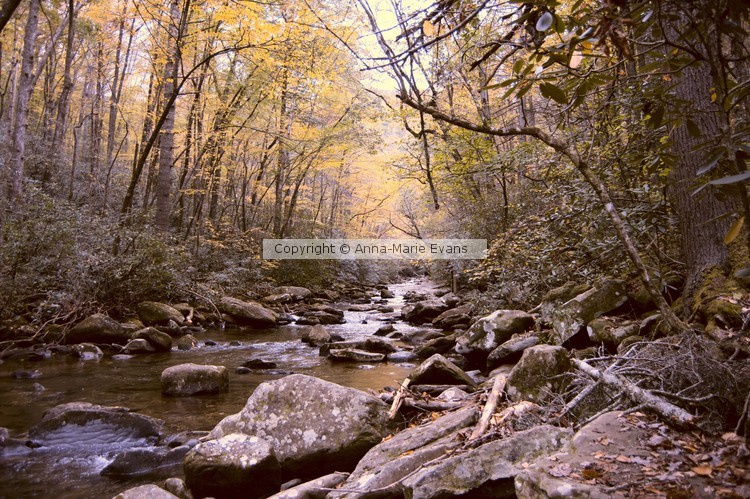 South Mountain Rolling Brook in the Fall