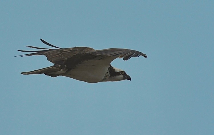 9G0A4968