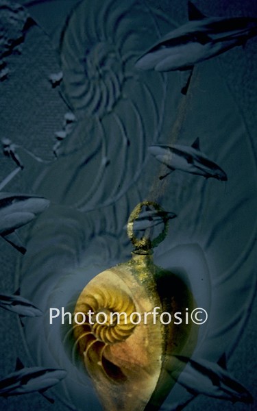 Oceano 4